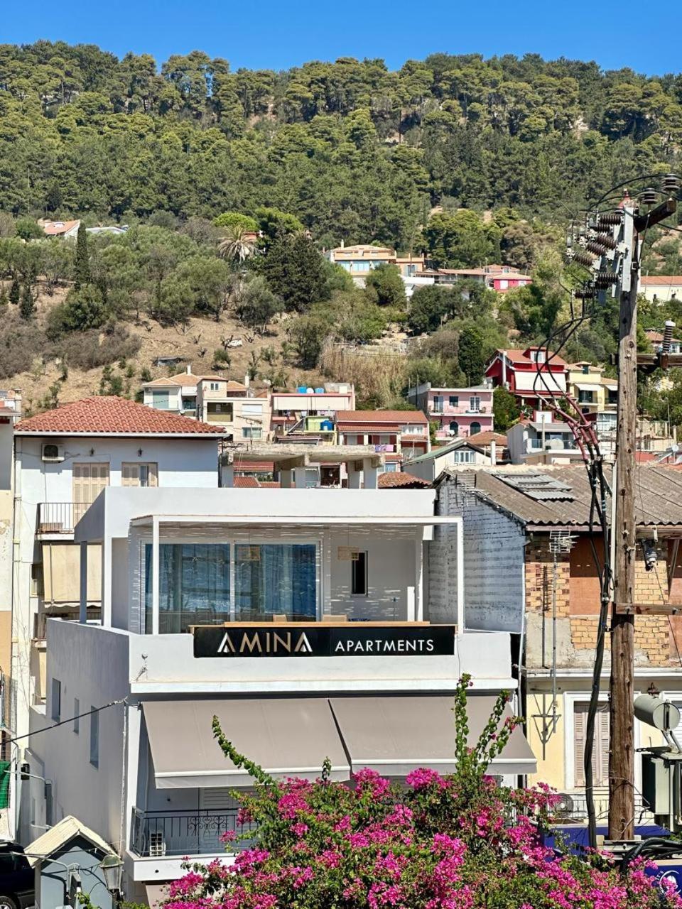 Amina Apartments ザキントス エクステリア 写真